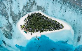 Angsana Velavaru - Book Now Enjoy 20 Percent Off Seaplane For Stay During May 6Th To Sep 30Th 2025